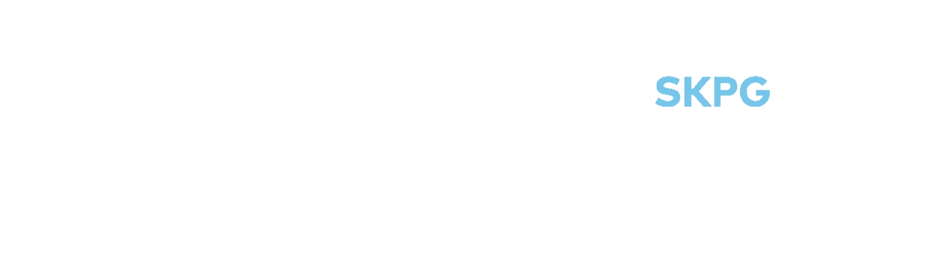 skillion property group logo